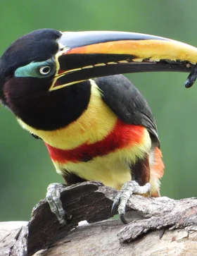 EQUILIBRIO CON EL PLANETA