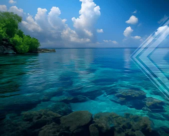 adl-card-sostenibilidad